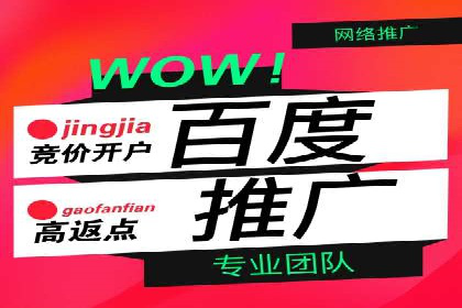行业巨头的SEM广告投放策略揭秘